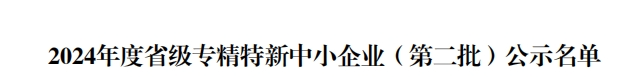 省級(jí)殊榮！江蘇迅鐳榮獲2024年度“江蘇省專精特新中小企業(yè)”稱號(hào)！(圖4)